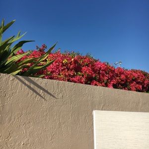 Meet your Posher, Joa